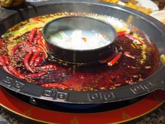 -成渝龙火锅(都江堰店)