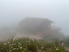 -浙东第一尖雪山欢乐谷
