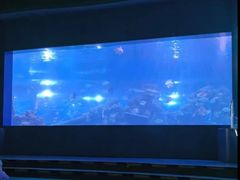 -重庆欢乐海底世界