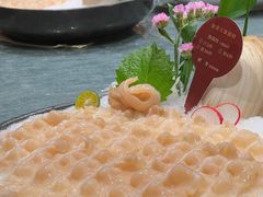 -協成海鮮火鍋(老店)