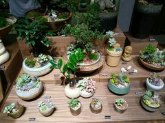 -方所(华润万象城店)