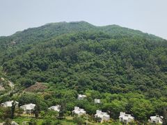 -东南花都花博园