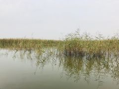 -白洋淀景区