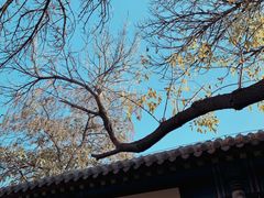 -张学良旧居陈列馆