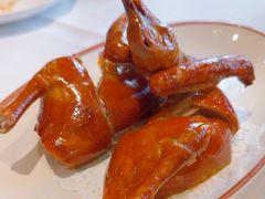 -新雅粤菜馆(南京东路店)