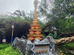 -瑞丽独树成林风景区