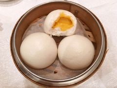 -帝皇楼