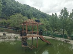 -栾川竹海野生动物园