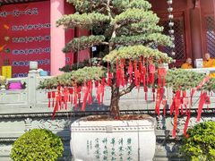 -太平禅寺