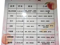 -老袁家蜜桃农场·阳山水蜜桃