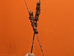 -老何太太鹤岗小串·团建聚餐(龙华店)