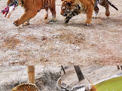 -济南野生动物世界