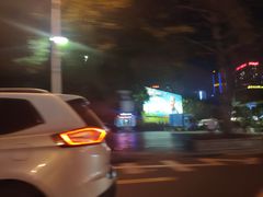 -荔枝公园-小平画像广场