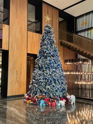 -杭州临平万丽酒店·万丽厅·宴会厅