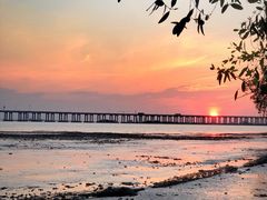 -宝安西湾红树林湿地公园