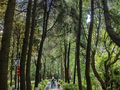 -阅江楼风景区