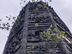 -上海佘山国家森林公园天马山园