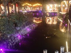 -二荆条·蜀鲜汇城市森林火锅