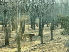 -秦皇岛野生动物园