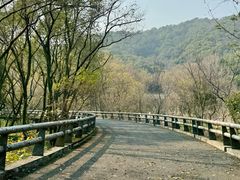 -西湖风景区-江洋畈生态公园