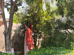 -西安青龙寺遗址景区