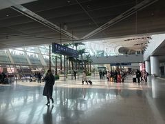 -合肥新桥国际机场-航站楼