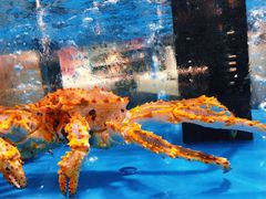 -麦德龙(郑东店)