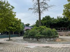 -山食炊桑拿鸡·又山私房菜