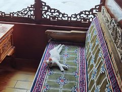 -嘎咓讓咘藏餐厅(团结新村店)