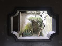 景点-西塘古镇-倪宅