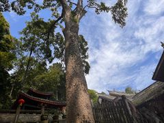 -都江堰普照寺