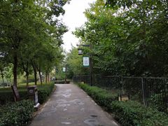 -西安汉城湖景区