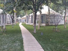 -九十九顶毡房(阜石路店)