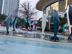 -海合安成都极地海洋公园