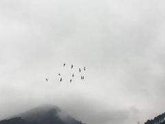 -剑河仰阿莎温泉小镇