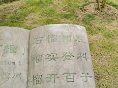 -合肥三国新城遗址公园