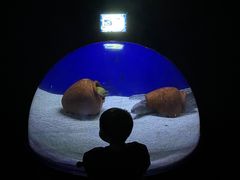 -江和美海洋公园