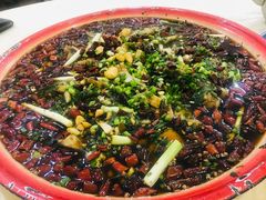 来凤鱼-东吴霸王兔(松青路店)