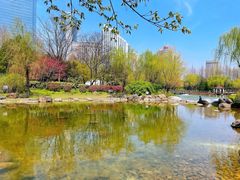 -新虹桥中心花园