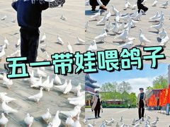 -天津妈祖文化园