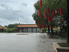 -顺峰山公园