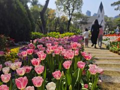 -厦门园林博览苑