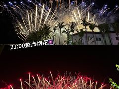 -三亚海昌梦幻海洋不夜城