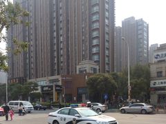 -野生动物园-停车场