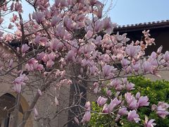 -静园(和平区)
