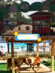 -萌宠亲子动物乐园(槐房万达店)