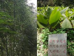 -井冈山风景名胜区
