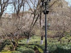 -大连植物园