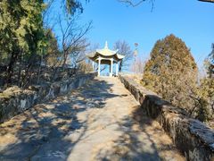 -北京鹫峰国家森林公园