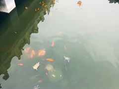 -归元·云集斋素菜馆